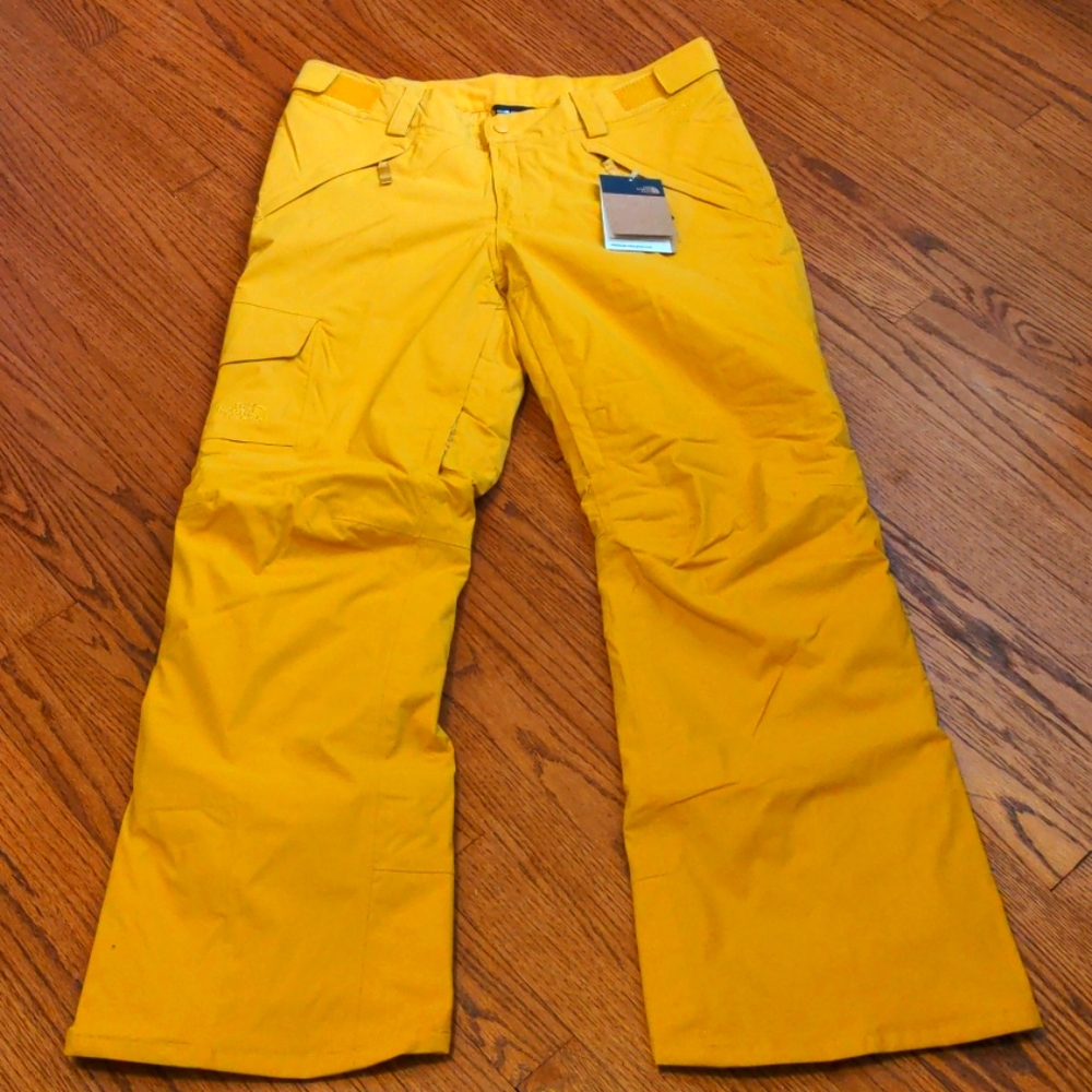NWT North Face Insulated Freedom pants